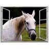 Artland Glasbild »Fensterblick - weisses Pferd«, Haustiere, (1 St.) weiß B/H: 60 cm x 45 cm B/H: 60 cm x 45 cm unisex