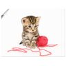 Artland Wandbild »Kätzchen mit rotem Garnball«, Haustiere, (1 St.) weiß B/H: 60 cm x 45 cm B/H: 60 cm x 45 cm unisex
