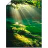 Artland Wandbild »Lichtkegel«, Wald, (1 St.) grün B/H: 60 cm x 80 cm B/H: 60 cm x 80 cm unisex