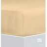 Florella Spannbettlaken »Avance Fein Jersey, mit Rundum-Gummi, 100 % Baumwolle« gelb B/L: 90-100 cm x 190-200 cm   1 St. B/L: 90-100 cm x 190-200 cm   1 St. unisex