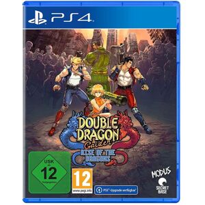 Astragon Spielesoftware »Double Dragon Gaiden: Rise of the Dragons«, PlayStation 4  unisex