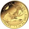 1 Unze Gold Somalia Elefant 2023