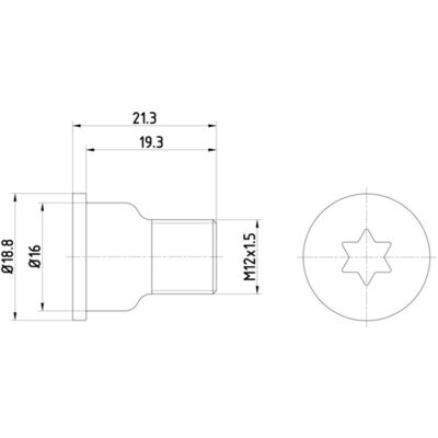 Textar Bremsscheiben Schraube - M12x1,5, 21,3mm - Universell für mehrere Autos Textar Bremsscheiben Schraube - M12x1,5, 21,3mm - Universell für mehrere Autos