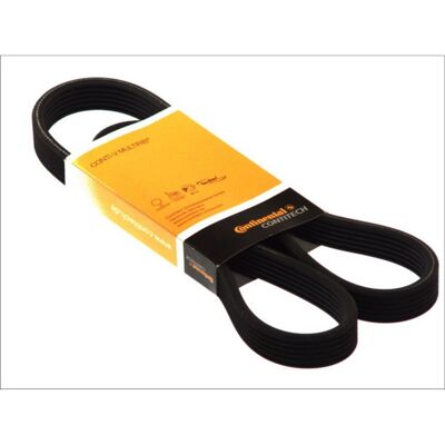 Keilrippenriemen Continental CTAM 6DPK1195 Keilrippenriemen Continental CTAM 6DPK1195