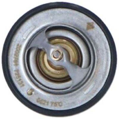 NRF 725131 Wasserthermostat - Dichtung mit Ring - Ohne Gehäuse NRF 725131 Wasserthermostat - Dichtung mit Ring - Ohne Gehäuse