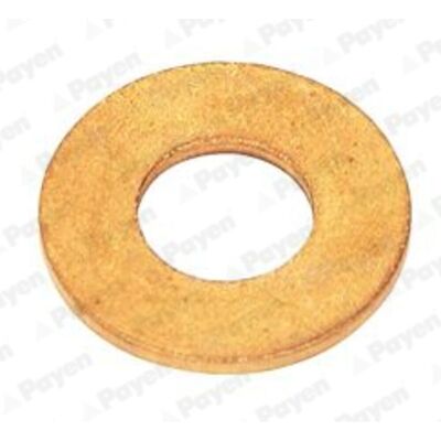 PAYEN Dichtung für Einspritzdüse - Kupfer, 10x21mm, 1mm Dick PAYEN Dichtung für Einspritzdüse - Kupfer, 10x21mm, 1mm Dick