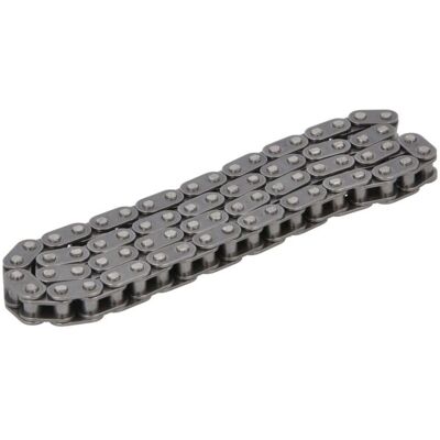 Steuerkette Schaeffler INA 553 0289 10 Steuerkette Schaeffler INA 553 0289 10