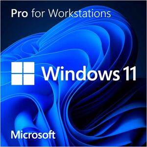 Microsoft Windows 11 Pro for Workstations, Betriebssystem-Software