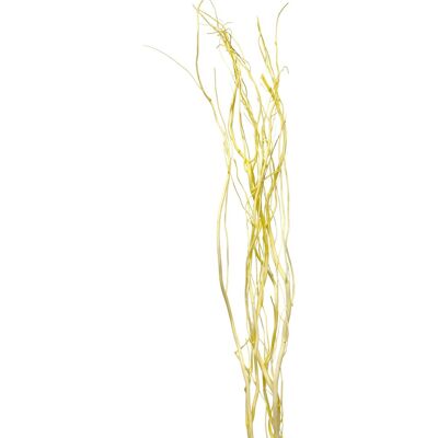 Weidenzweige Trockenfloristik Bund Salix ca. 120 cm Pastellgelb Weidenzweige Trockenfloristik Bund Salix ca. 120 cm Pastellgelb