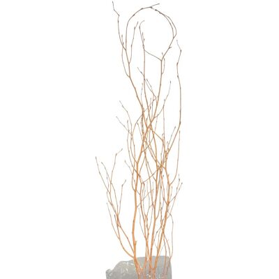 Birkenzweige Trockenfloristik Bund Betula ca. 110 cm Pastellorange Birkenzweige Trockenfloristik Bund Betula ca. 110 cm Pastellorange