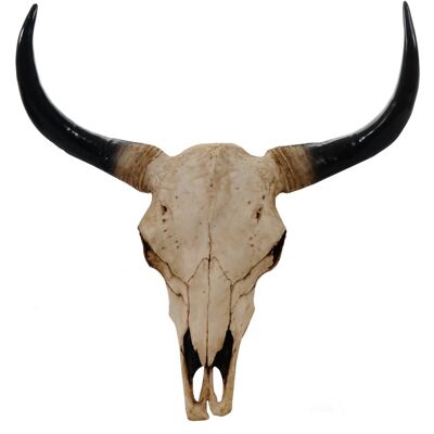 MCW Deko Schädel 45cm T454 Stier Naturfarben MCW Deko Schädel 45cm T454 Stier Naturfarben