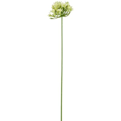 Mica Decorations Kunstpflanze Agapanthus Grün Höhe 65 cm Mica Decorations Kunstpflanze Agapanthus Grün Höhe 65 cm