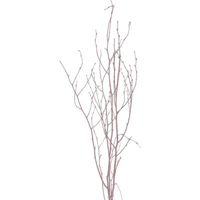 Birkenzweige Trockenfloristik Bund Betula ca. 110 cm Pastell Pink Birkenzweige Trockenfloristik Bund Betula ca. 110 cm Pastell Pink