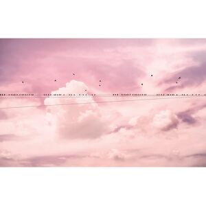 KOMAR Cloud Wire Rosa Tapete - Wanddeko KOMAR Cloud Wire Rosa Tapete - Wanddeko