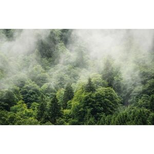 KOMAR Wald Land Grün Wandbild - Wandbild KOMAR Wald Land Grün Wandbild - Wandbild