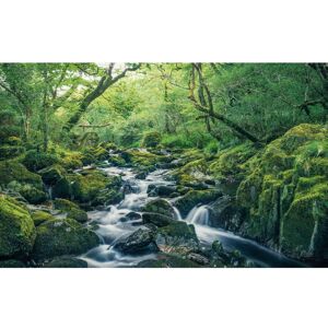 KOMAR Green Tales Wald Wandbild - Wandbild KOMAR Green Tales Wald Wandbild - Wandbild