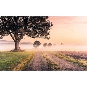 KOMAR Misty Morning Vliestapete - Landschaft - 400x250cm KOMAR Misty Morning Vliestapete - Landschaft - 400x250cm