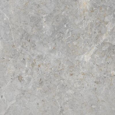 UNITED TILE UND MOSAIC Bodenfliese Feinsteinzeug Dione grau Grau Glasiert Poliert 60 cm x 60 cm UNITED TILE UND MOSAIC Bodenfliese Feinsteinzeug Dione grau Grau Glasiert Poliert 60 cm x 60 cm