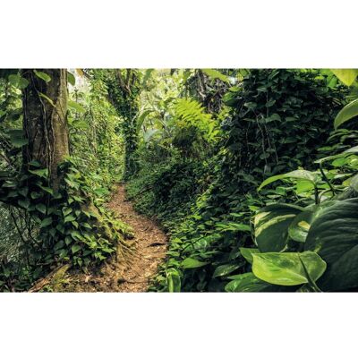 KOMAR Grüne Path of Dreams Wandbild - Wandbild KOMAR Grüne Path of Dreams Wandbild - Wandbild