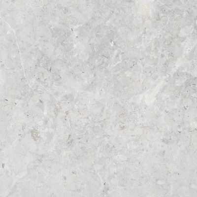 UNITED TILE UND MOSAIC Bodenfliese Feinsteinzeug Dione bianco Glasiert Poliert 60 cm x 60 cm UNITED TILE UND MOSAIC Bodenfliese Feinsteinzeug Dione bianco Glasiert Poliert 60 cm x 60 cm