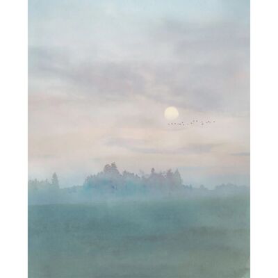 KOMAR Hazy Hush Bunt Tapete 200x250cm - Tapete KOMAR Hazy Hush Bunt Tapete 200x250cm - Tapete