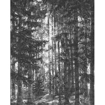 KOMAR Wandbild Lustres Lapland - Naturmotiv KOMAR Wandbild Lustres Lapland - Naturmotiv