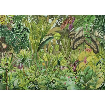 Komar Vliestapete Colorante 350 cm x 250 cm Komar Vliestapete Colorante 350 cm x 250 cm