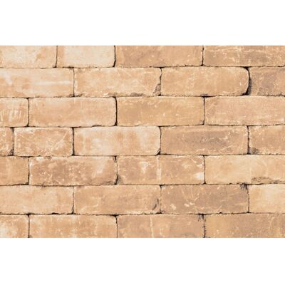 Diephaus Mauerstein Collo Marlo Sandstein 35 x 14 x 14 cm Diephaus Mauerstein Collo Marlo Sandstein 35 x 14 x 14 cm