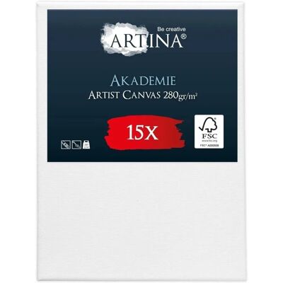 Artina Akademie Keilrahmen 30x80cm FSC 15tlg Artina Akademie Keilrahmen 30x80cm FSC 15tlg