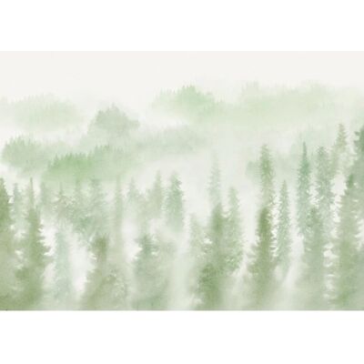 Komar Vliestapete Blurry Woods 350 cm x 250 cm Komar Vliestapete Blurry Woods 350 cm x 250 cm