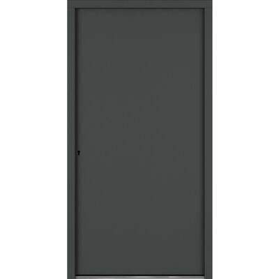 Roro Haustür OAE 1201 Aluverbund Weiß-Anthrazit 110 cm x 210 cm DIN L Roro Haustür OAE 1201 Aluverbund Weiß-Anthrazit 110 cm x 210 cm DIN L