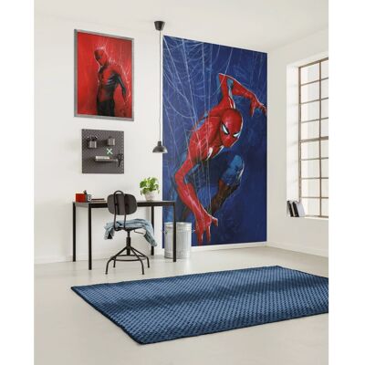 KOMAR Spider Web Tapeten - Kinder, Blau, Rot - Vlies KOMAR Spider Web Tapeten - Kinder, Blau, Rot - Vlies