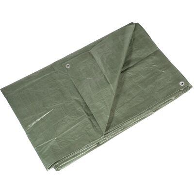 LUXTOOLS LUX-TOOLS Abdeckplane 2 m x 3 m Grün LUXTOOLS LUX-TOOLS Abdeckplane 2 m x 3 m Grün