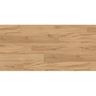 Kaindl Excellent Laminat 8 mm Eiche Desert Kaindl Excellent Laminat 8 mm Eiche Desert