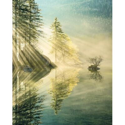 KOMAR Grüne Indulgence of Beauty Tapete - Wandtapete 200x250cm KOMAR Grüne Indulgence of Beauty Tapete - Wandtapete 200x250cm