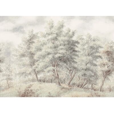 Komar Vliestapete Grove 350 cm x 250 cm Komar Vliestapete Grove 350 cm x 250 cm