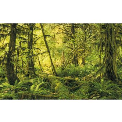 KOMAR Ancient World Rote Vliestapete 400x250 cm KOMAR Ancient World Rote Vliestapete 400x250 cm