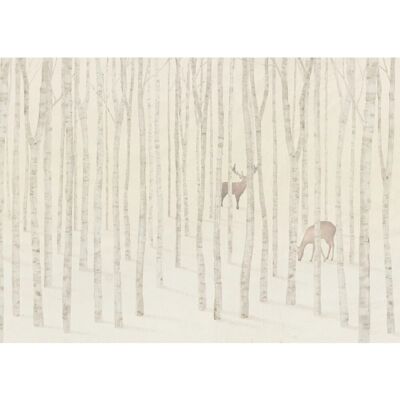 Komar Vliestapete Québec 350 cm x 250 cm Komar Vliestapete Québec 350 cm x 250 cm