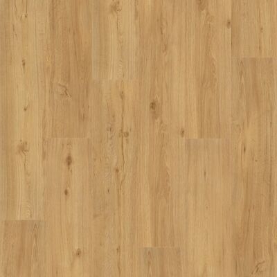 Parador Vinylboden Basic 5.3 Eiche Natur Parador Vinylboden Basic 5.3 Eiche Natur