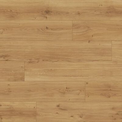 Parador Designboden Modular One Eiche Spirit Natur 8 mm Parador Designboden Modular One Eiche Spirit Natur 8 mm