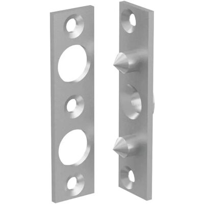 Basi Bändersicherung BSA 90 mit 2 Zapfen Verzinkt 90*22 mm Einzeln Basi Bändersicherung BSA 90 mit 2 Zapfen Verzinkt 90*22 mm Einzeln