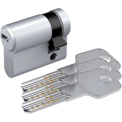 Basi BM Profil Halbzylinder 10/40 mm Gleichschließend Basi BM Profil Halbzylinder 10/40 mm Gleichschließend