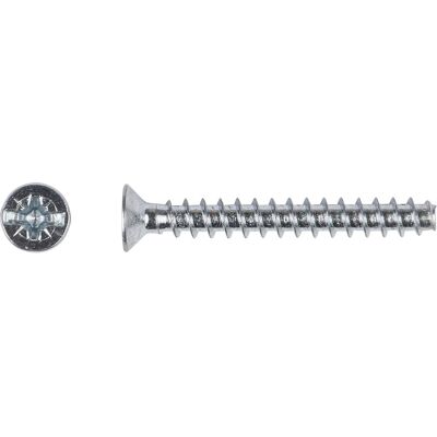 Geräteschraube 3,2 mm x 25 mm PZ 1 100 Stück Geräteschraube 3,2 mm x 25 mm PZ 1 100 Stück
