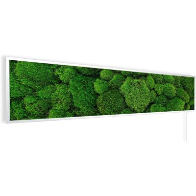 Könighaus Infrarotheizung Panorama Buena Vista Moos 450 W 120 cm x 30 cm Könighaus Infrarotheizung Panorama Buena Vista Moos 450 W 120 cm x 30 cm