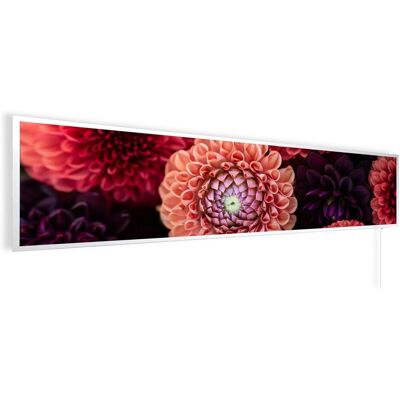 Könighaus Infrarotheizung Panorama Buena Vista Dahlien 450 W 120 cm x 30 cm Könighaus Infrarotheizung Panorama Buena Vista Dahlien 450 W 120 cm x 30 cm