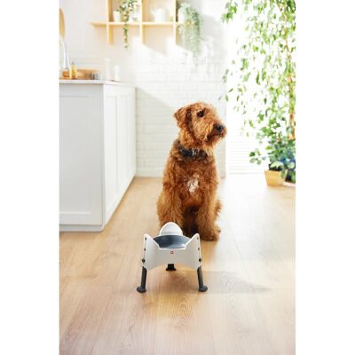 Rotho Futternapf Sammy Verstellbar 1,02 l Weiß Rotho Futternapf Sammy Verstellbar 1,02 l Weiß