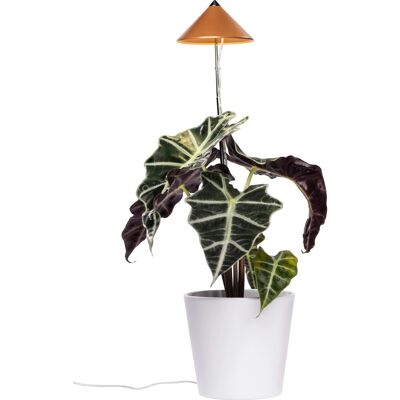 Parus by Venso LED-Pflanzenlampe Sunlite 7 W Kupfer Parus by Venso LED-Pflanzenlampe Sunlite 7 W Kupfer