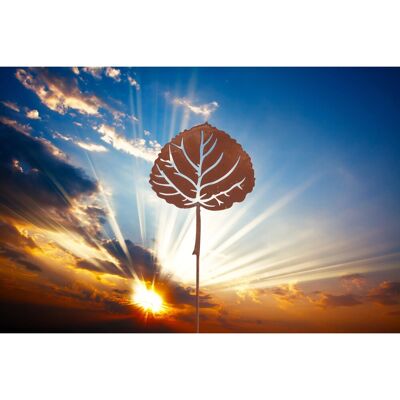 Ferrum Art Design Gartenstecker Haselnussblatt 122 cm Edelrost Ferrum Art Design Gartenstecker Haselnussblatt 122 cm Edelrost