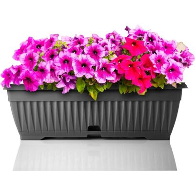 BigDean Blumenkasten Mit Abnehmbarem Untersetzer Anthrazit 50 Cm Lang Aus Bruchsicherem Kunststoff Balkonkasten Pflanzkasten Mit Wasserspeicher BigDean Blumenkasten Mit Abnehmbarem Untersetzer Anthrazit 50 Cm Lang Aus Bruchsicherem Kunststoff Balkonkasten Pflanzkasten Mit Wasserspeicher