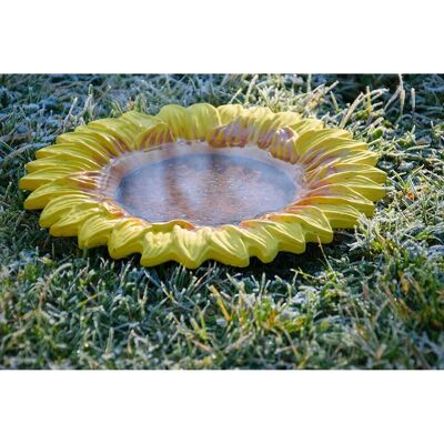 Dobar Insektentränke Fiore 30,5 cm x 30,5 cm x 4 cm Bunt Dobar Insektentränke Fiore 30,5 cm x 30,5 cm x 4 cm Bunt